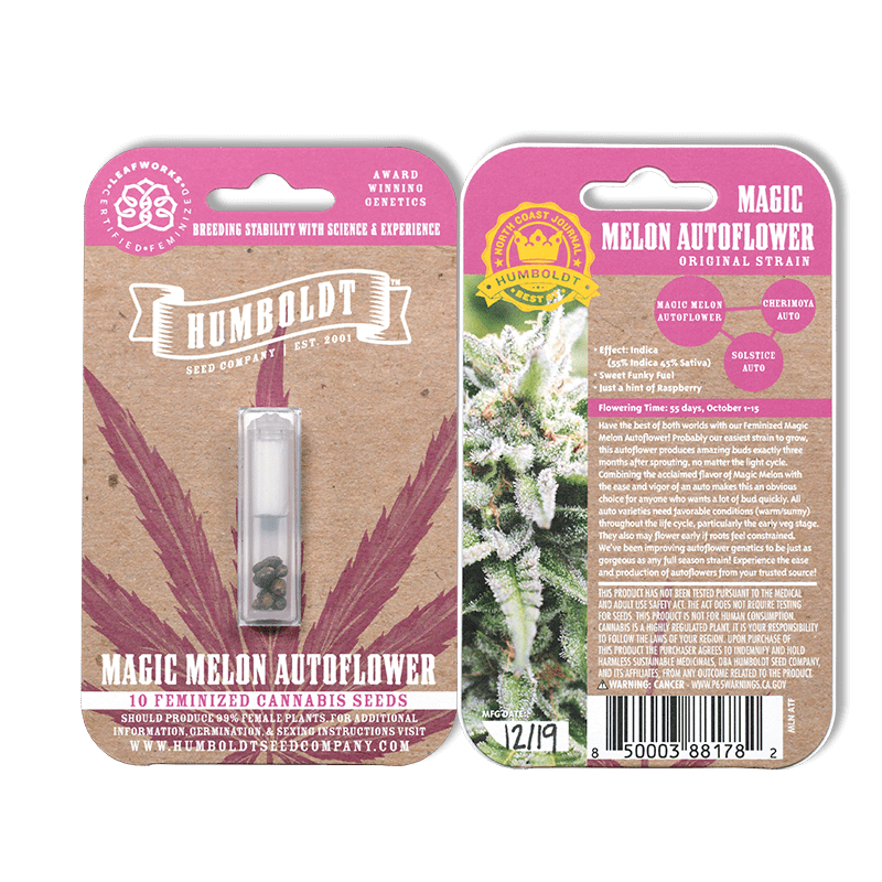 MAGIC MELON AUTOFLOWER 10 pack