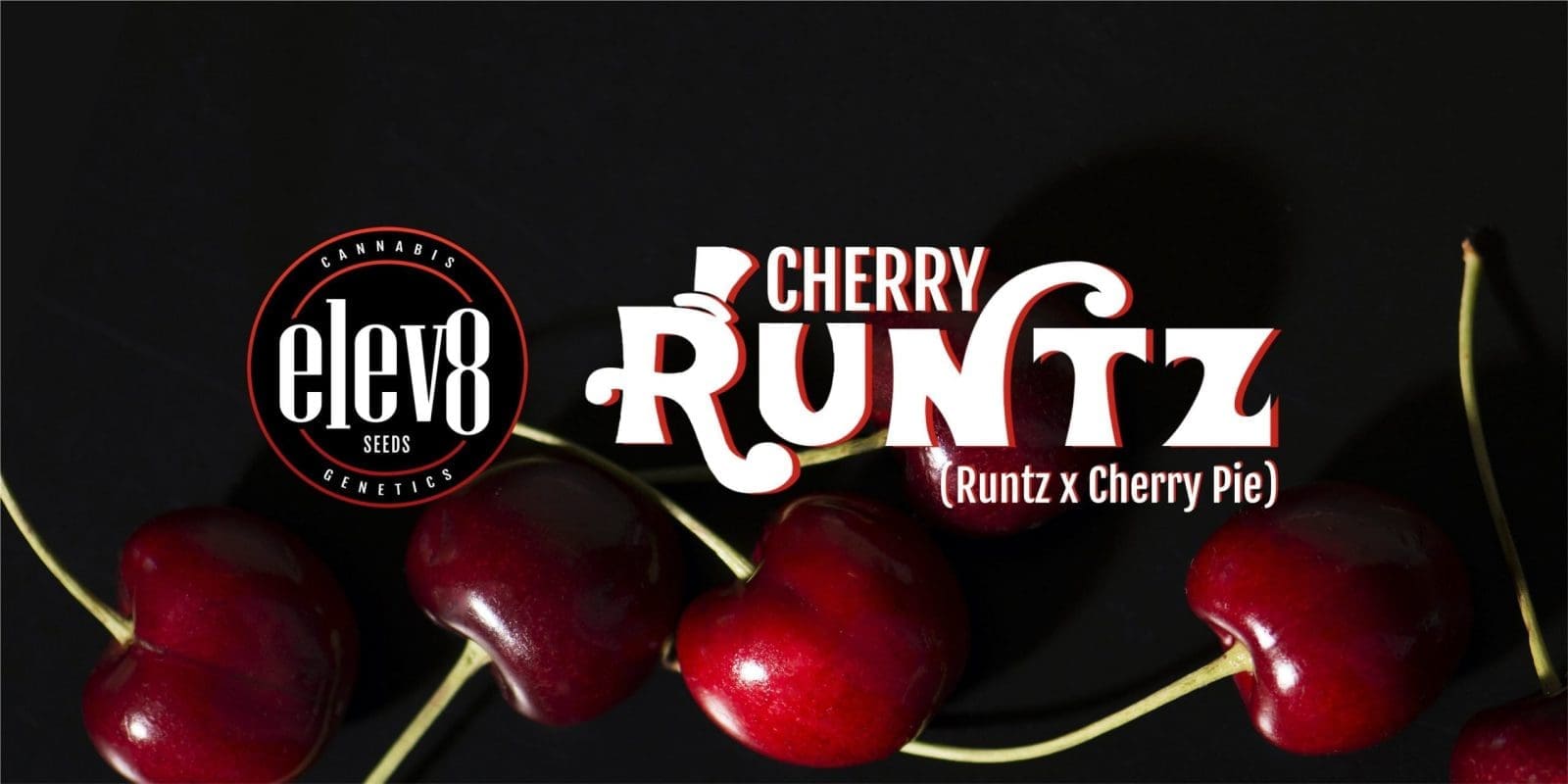 Cherry Runtz 6 Pack