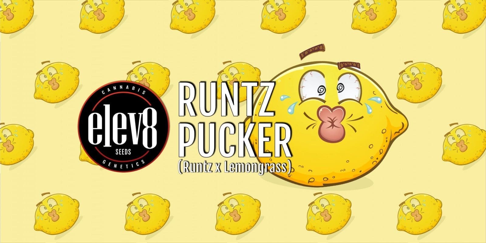 Runtz Pucker 6 Pack