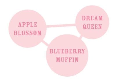 APPLE BLOSSOM Fem - Image 2
