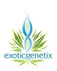 Rainbow Reserve 10 ct regs Exotic Genetix