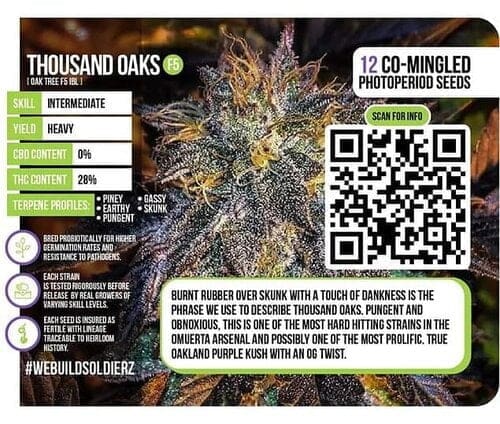 Thousand Oaks f5 Omuerta Genetix 11 Regular seeds