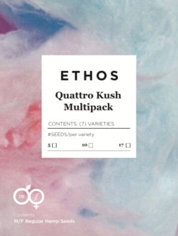 QUATTRO KUSH MULTIPACK ETHOS GENETICS