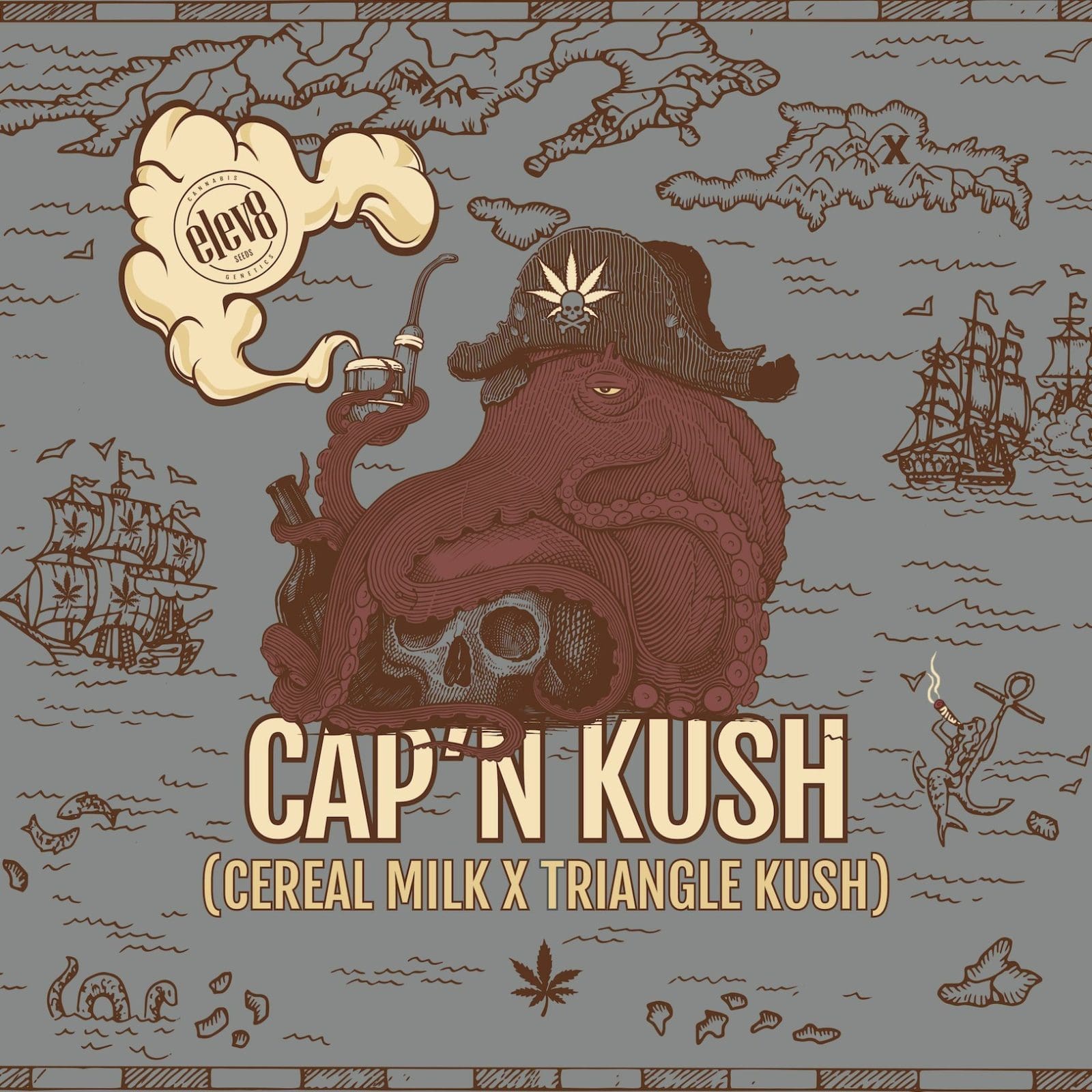 Cap'n Kush 6ct Fems ELEV8