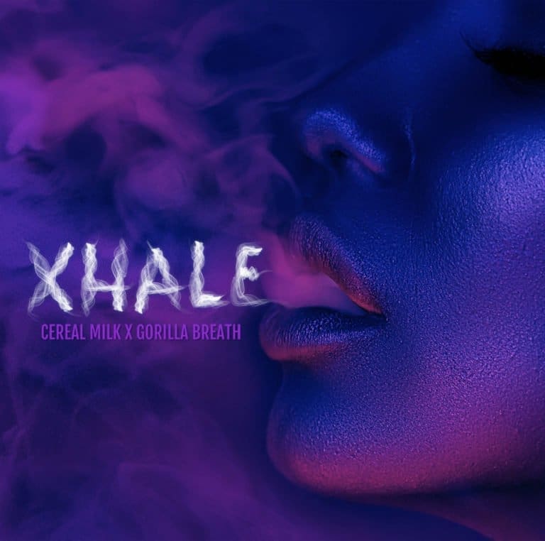 Xhale 6ct Fems ELEV8