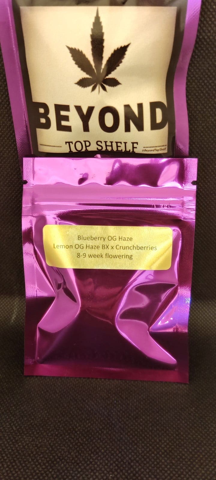 Blueberry OG Haze 10ct Regs