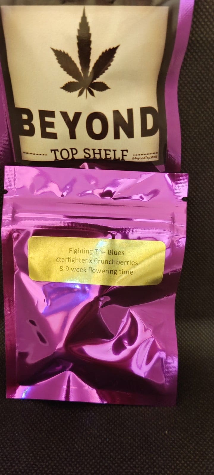 Fighting The Blues 10ct Regs