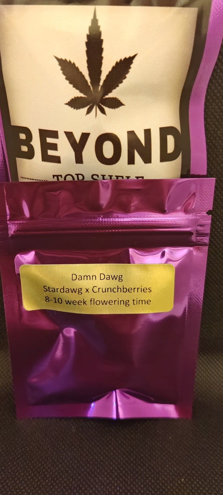 Damn Dawg 10ct Regs