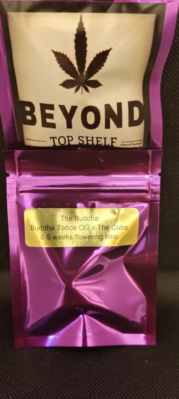 The Buddha 10ct Regs