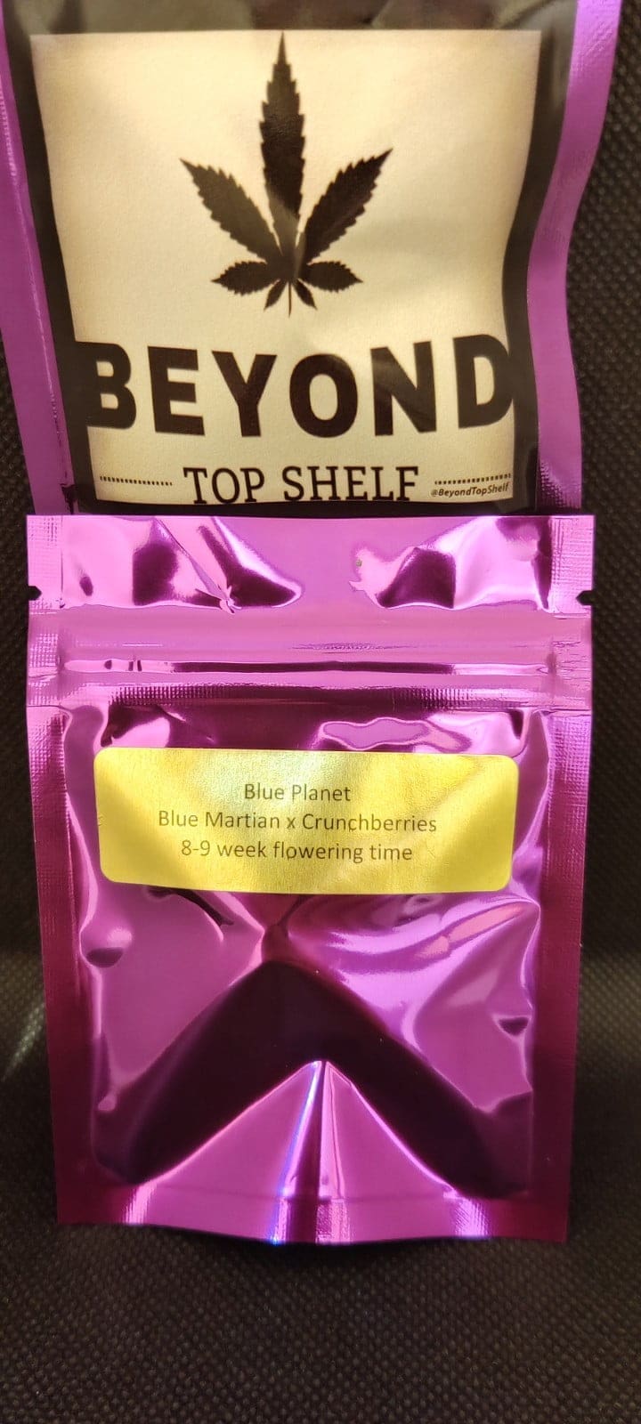 Blue Planet 10ct Regs