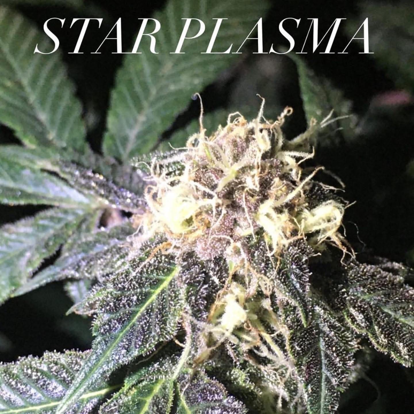 STAR PLASMA REGS