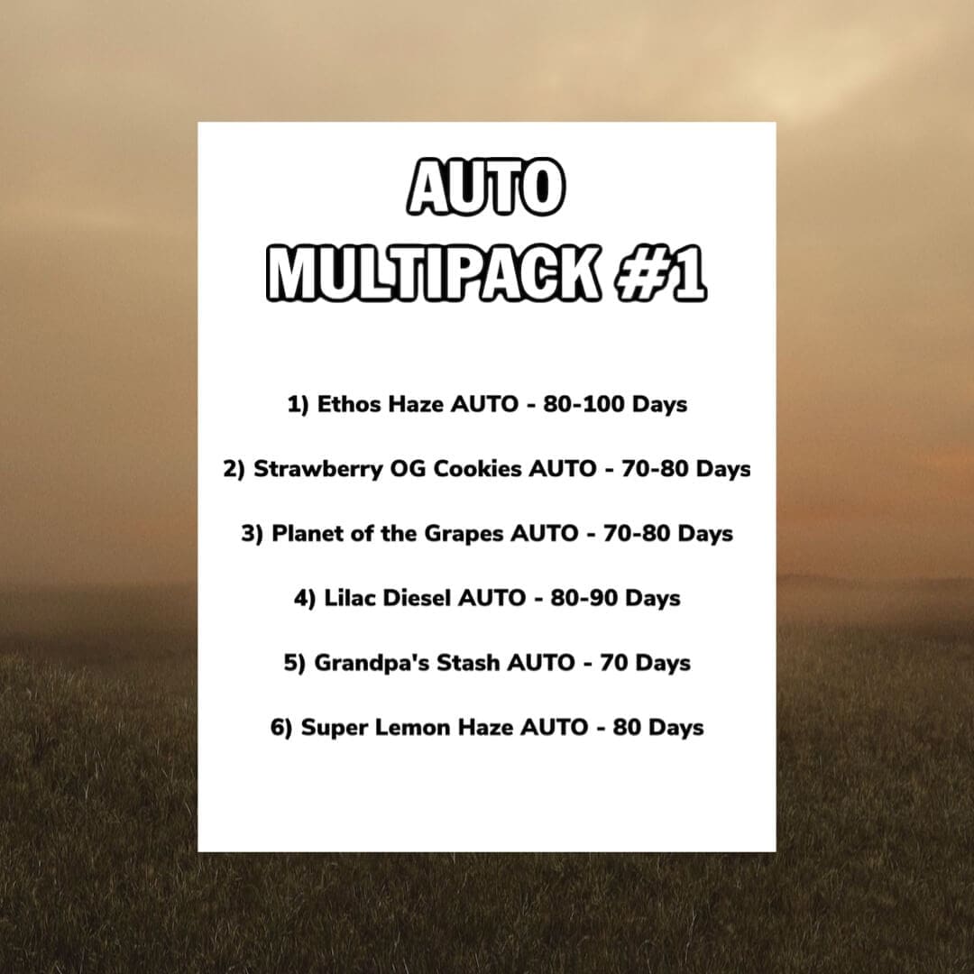 Ethos Auto Multipack #1