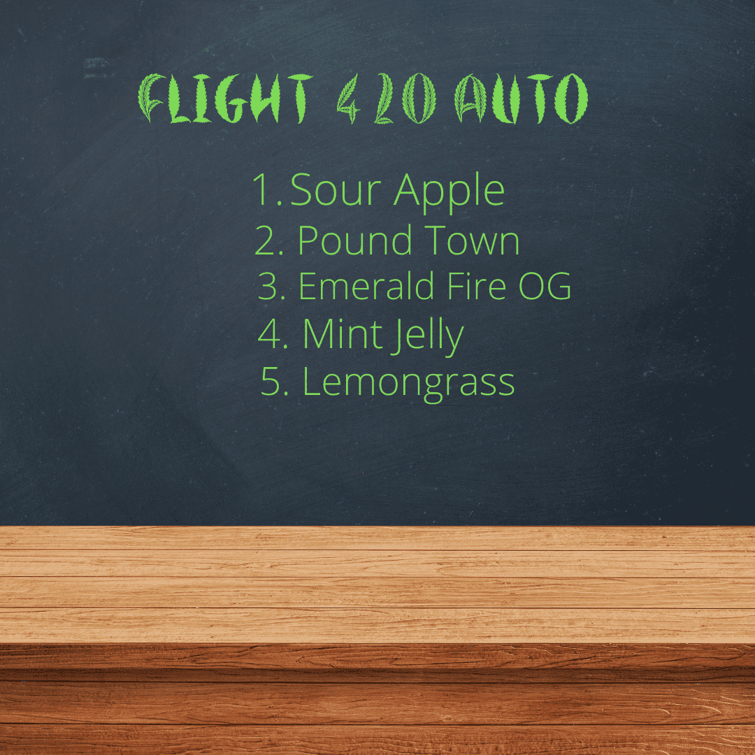 Humboldt Auto Flight