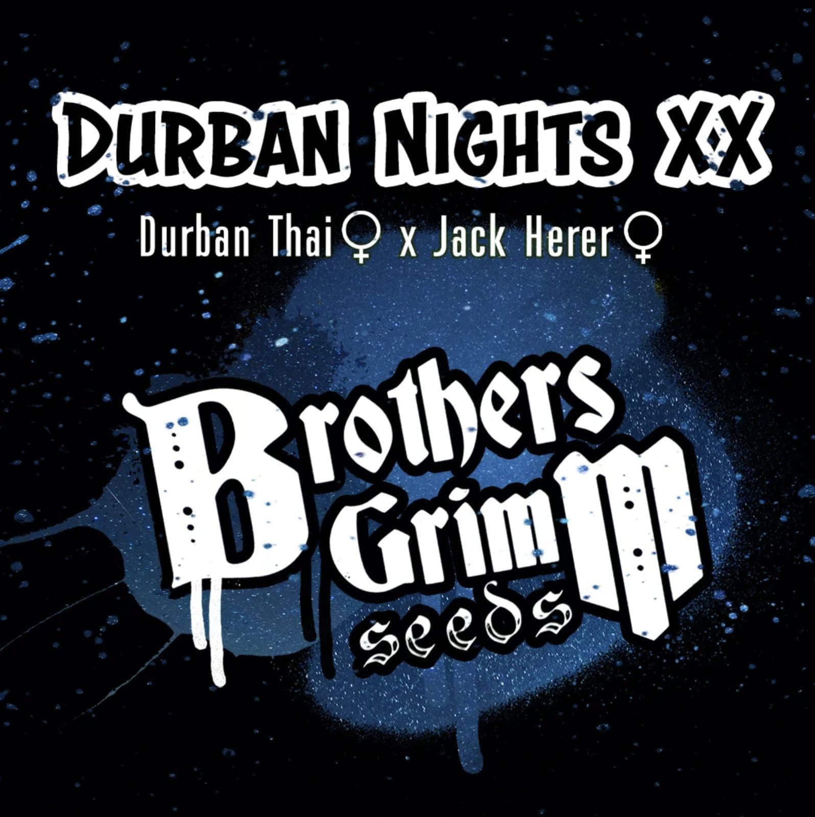 Durban Nights XX 9ct Fems