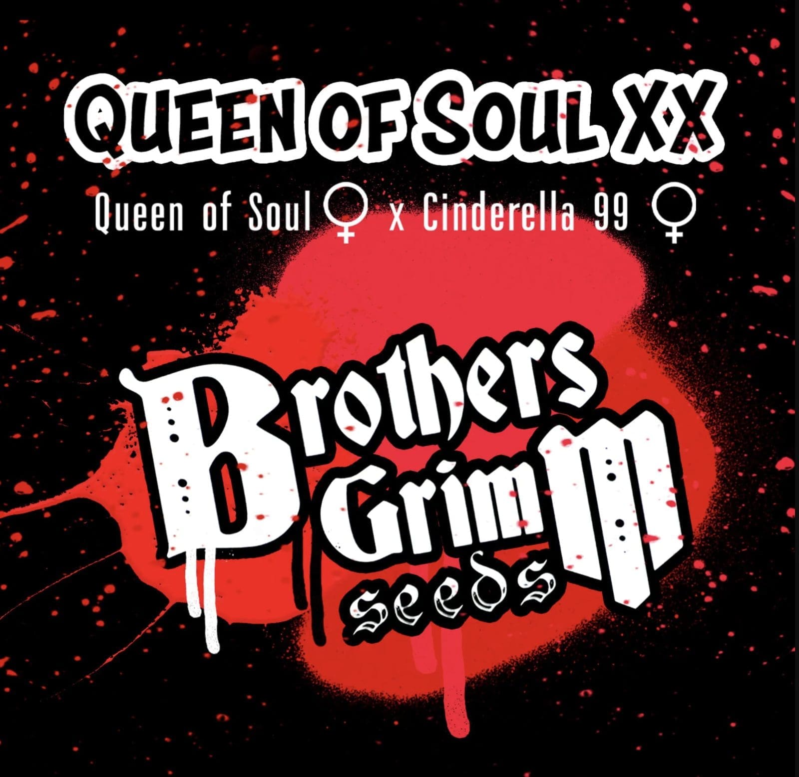 Queen of Soul XX 9ct Fems