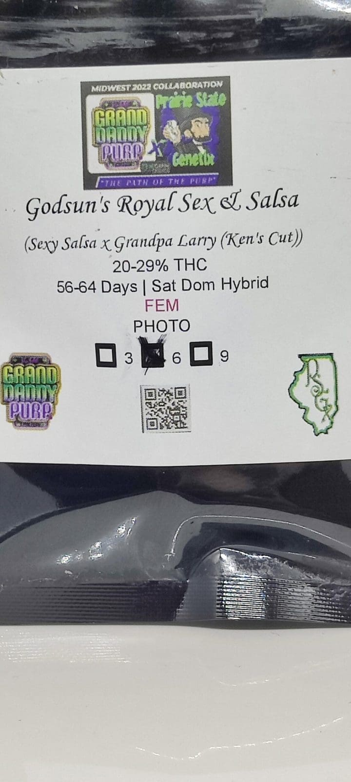 Godsun's Royal Sex & Salsa 6ct Fems