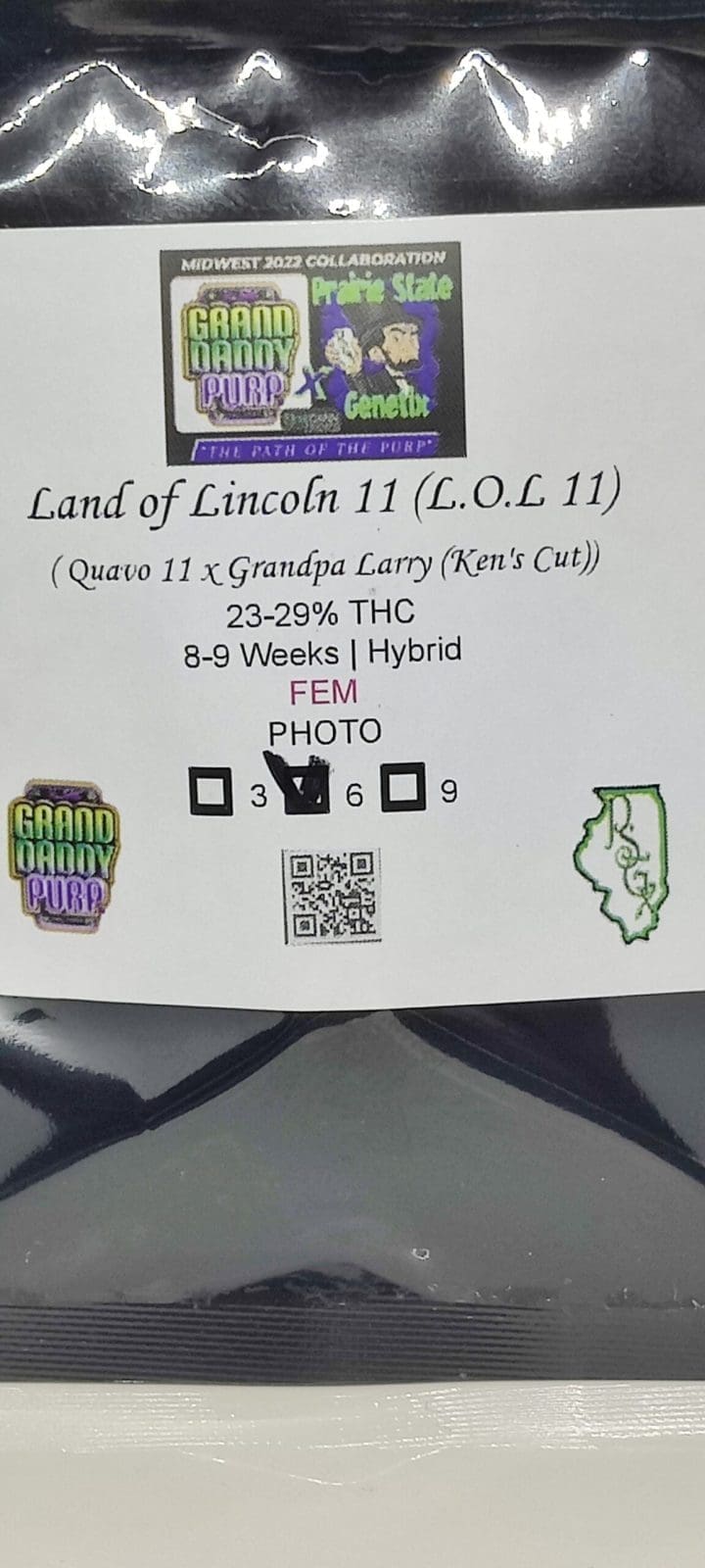 Land of Lincoln 11 ( L.O.L. 11 ) Fems