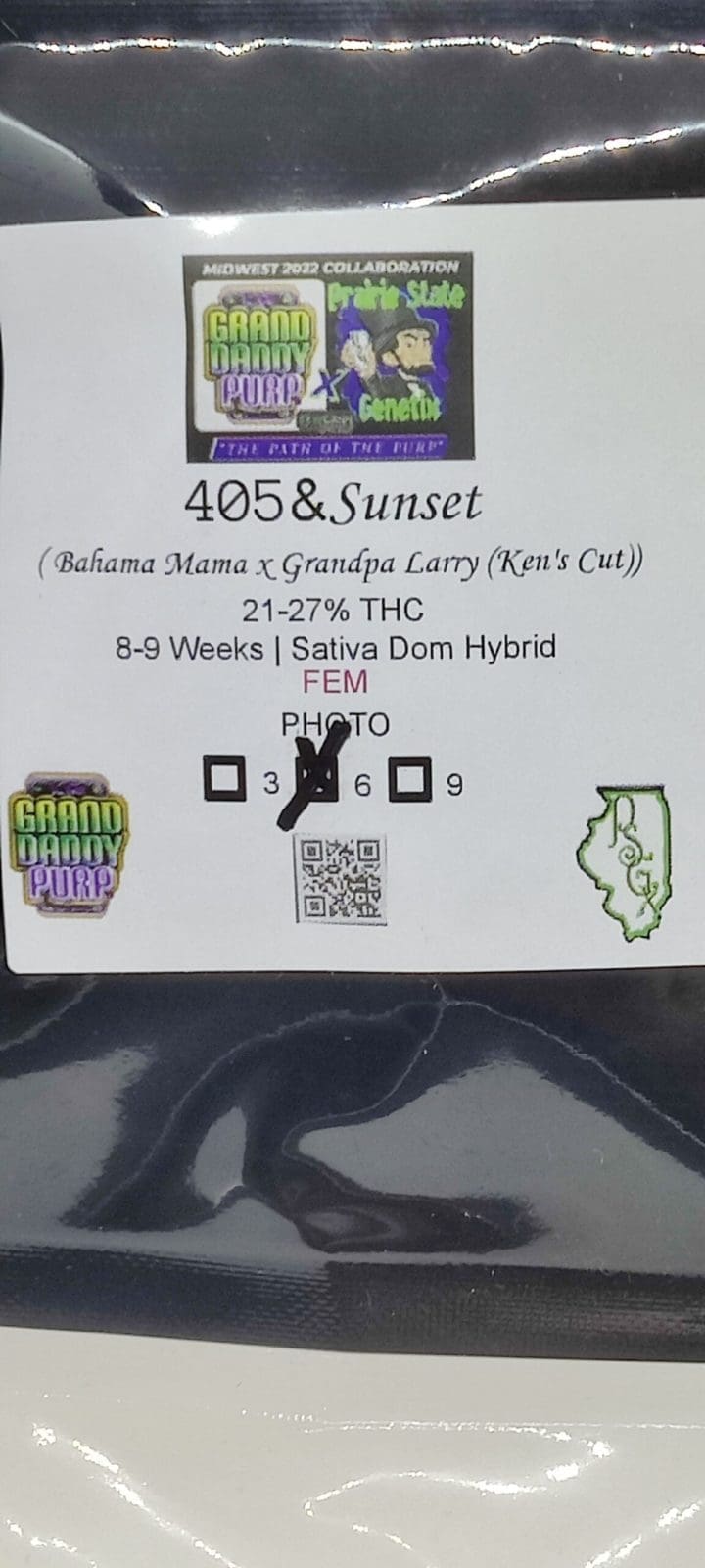 405 & Sunset 6ct Fems