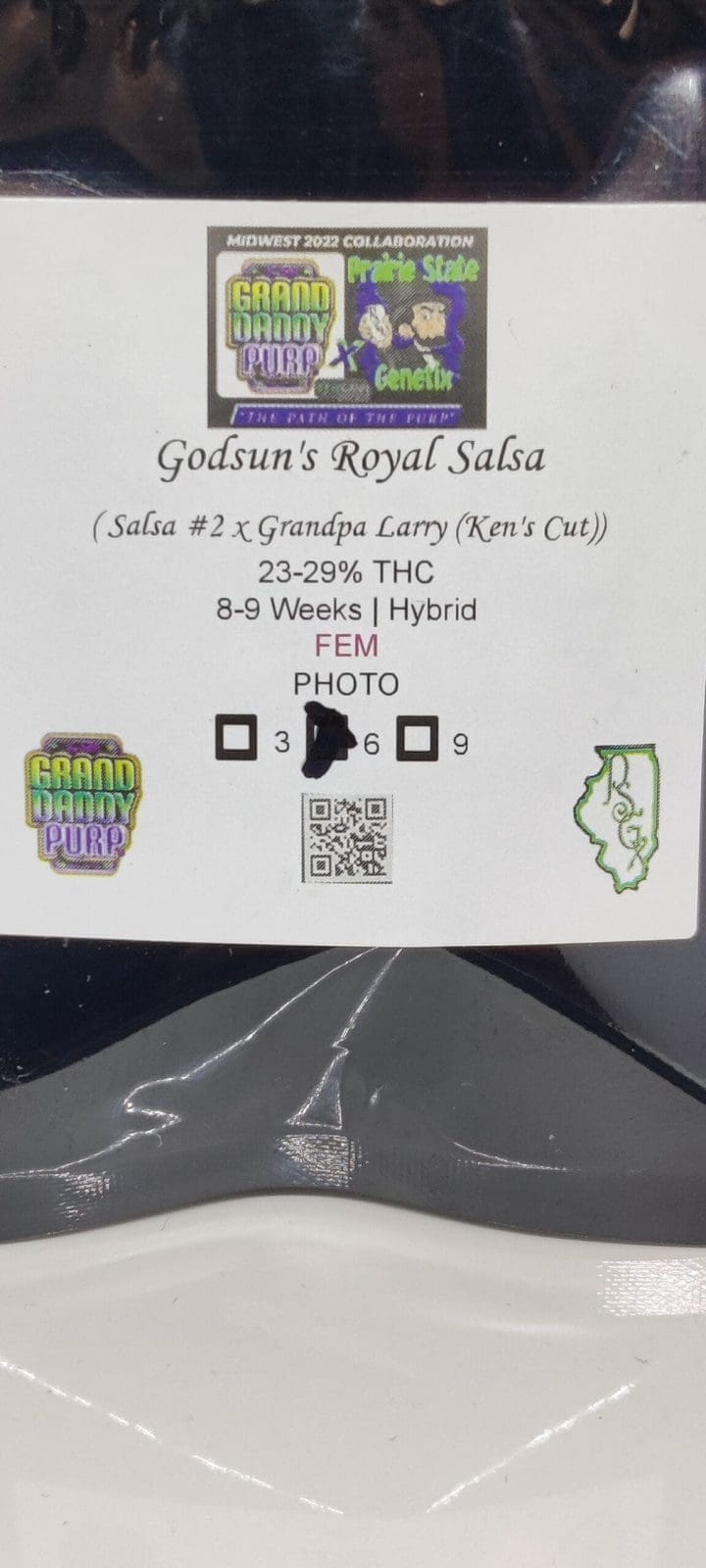 Godsun's Royal Salsa