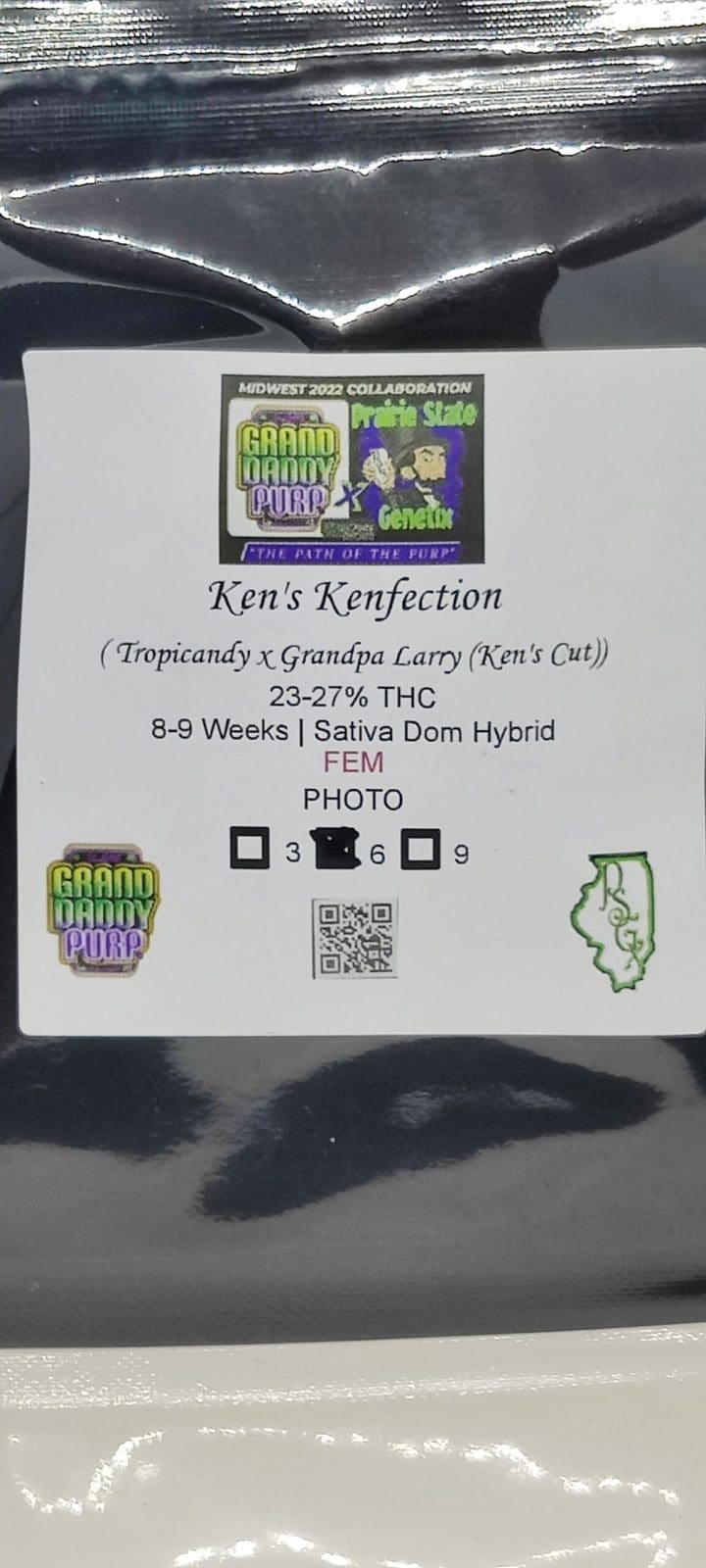 Ken's Kenfection Fems