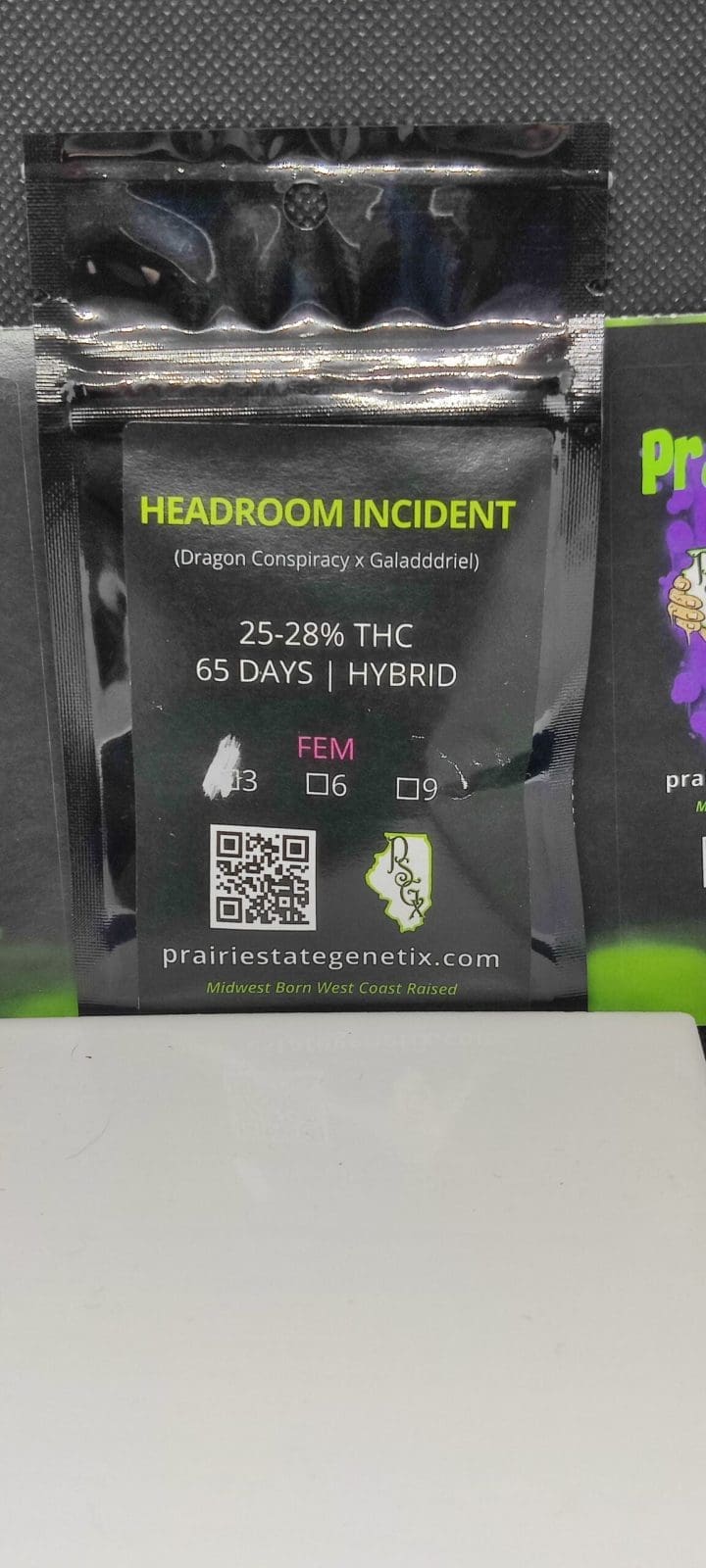 Headroom Incident 3ct Fems