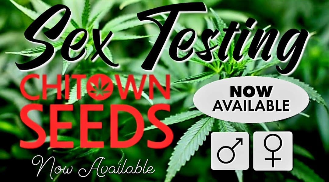 Sex Testing