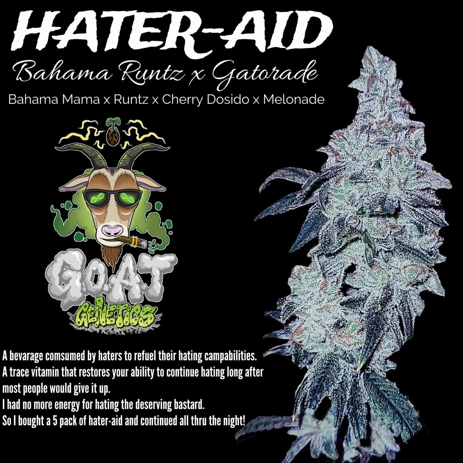 HATER-ADE 5ct FEMS