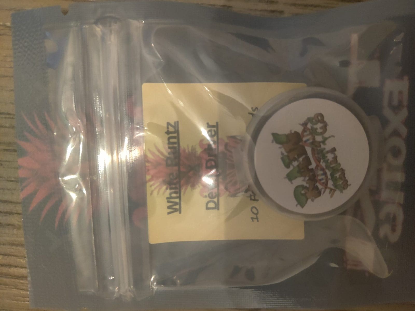 WHITE RUNTZ X DEVIL DRIVER 10ct REGS