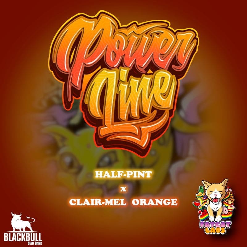 POWER LINE 7CT FEMS PLUS FREEBIE