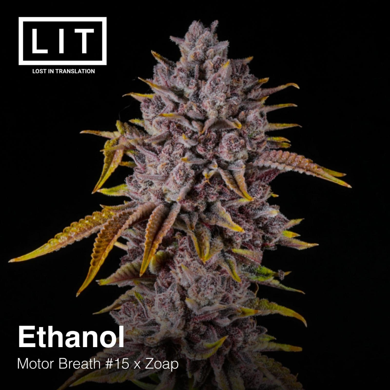 ETHANOL 6ct FEMS