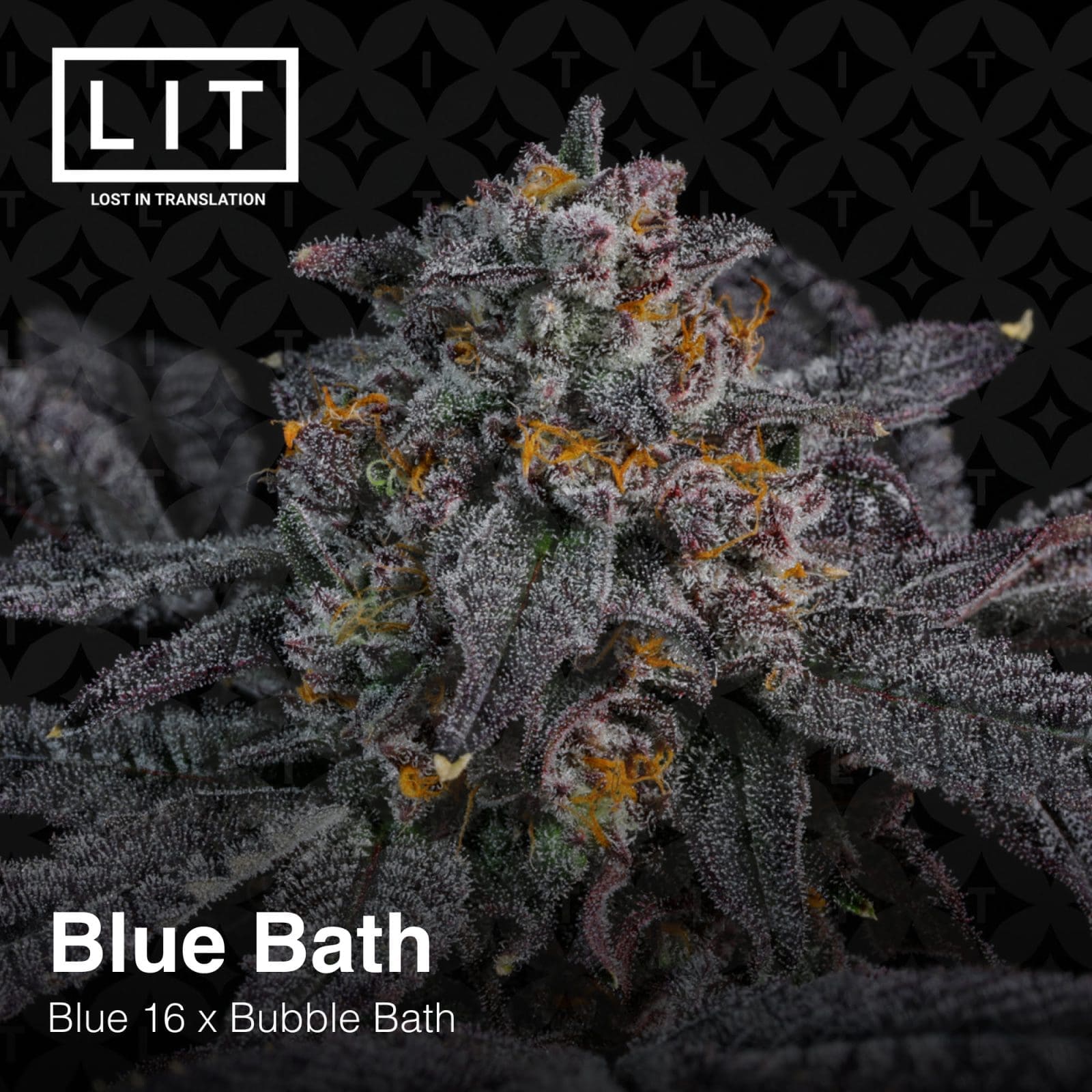Blue Bath 6ct Fems