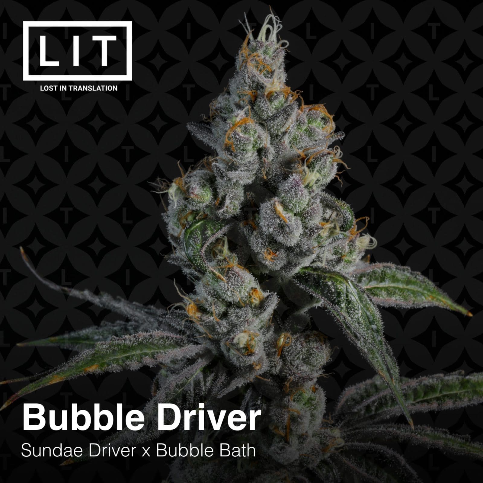Bubble Driver 6ct Fems