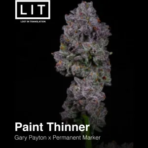 PAINT THINNER 6CT FEMS