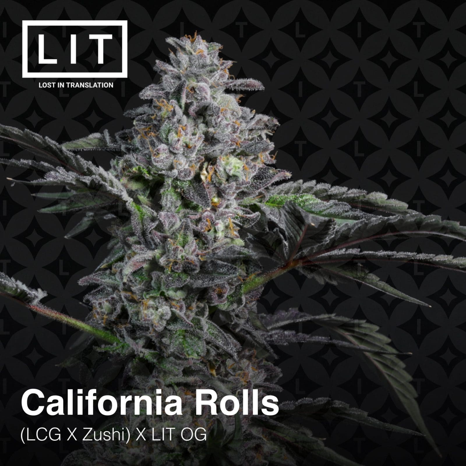CALIFORNIA ROLLS 6ct FEMS
