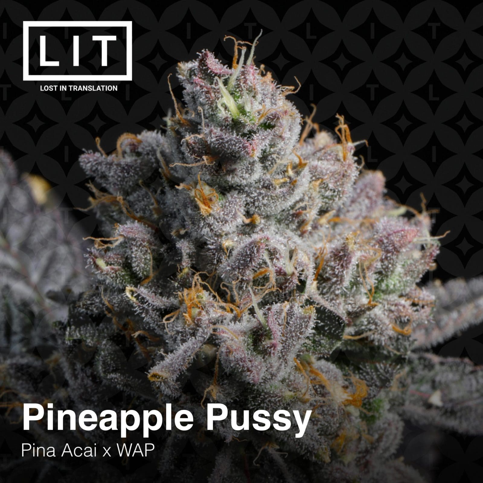 PINEAPPLE PUSSY 6ct FEMS
