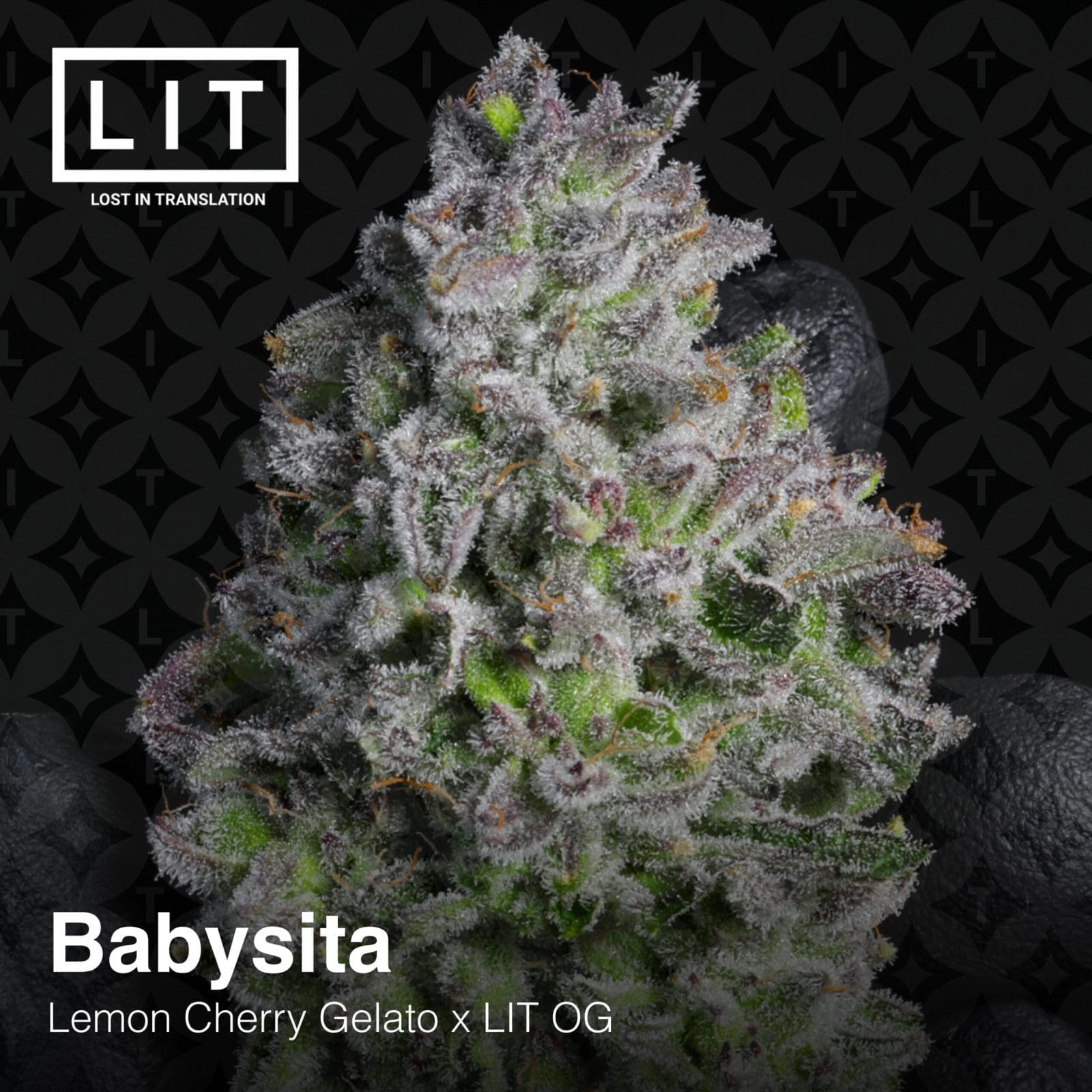 BABYSITA 6ct FEMS
