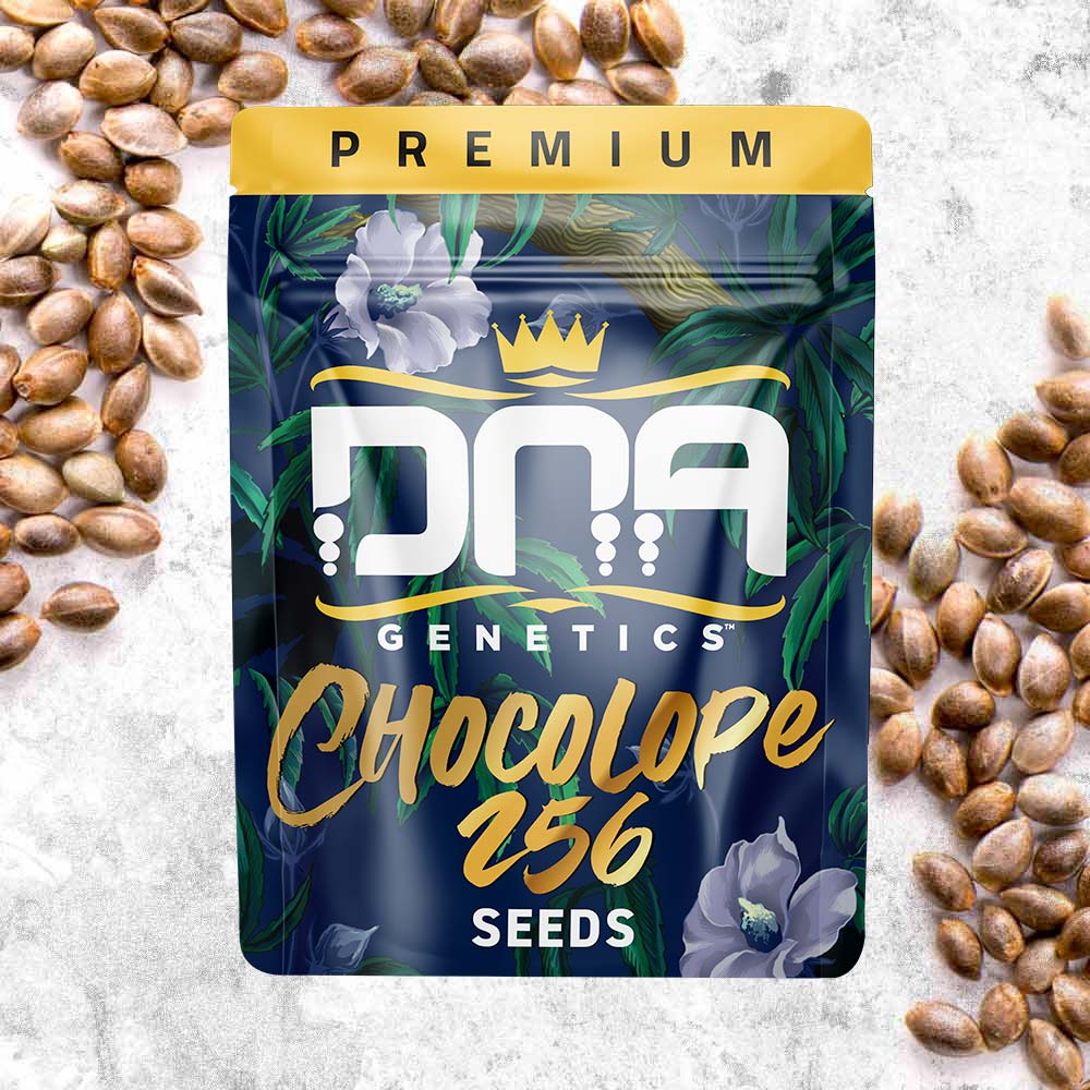 CHOCOLOPE 256 FEMS
