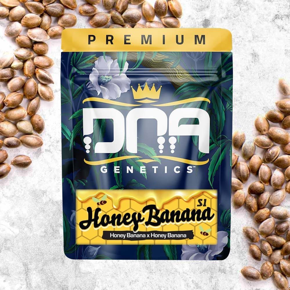 HONEY BANANA S1 FEMS