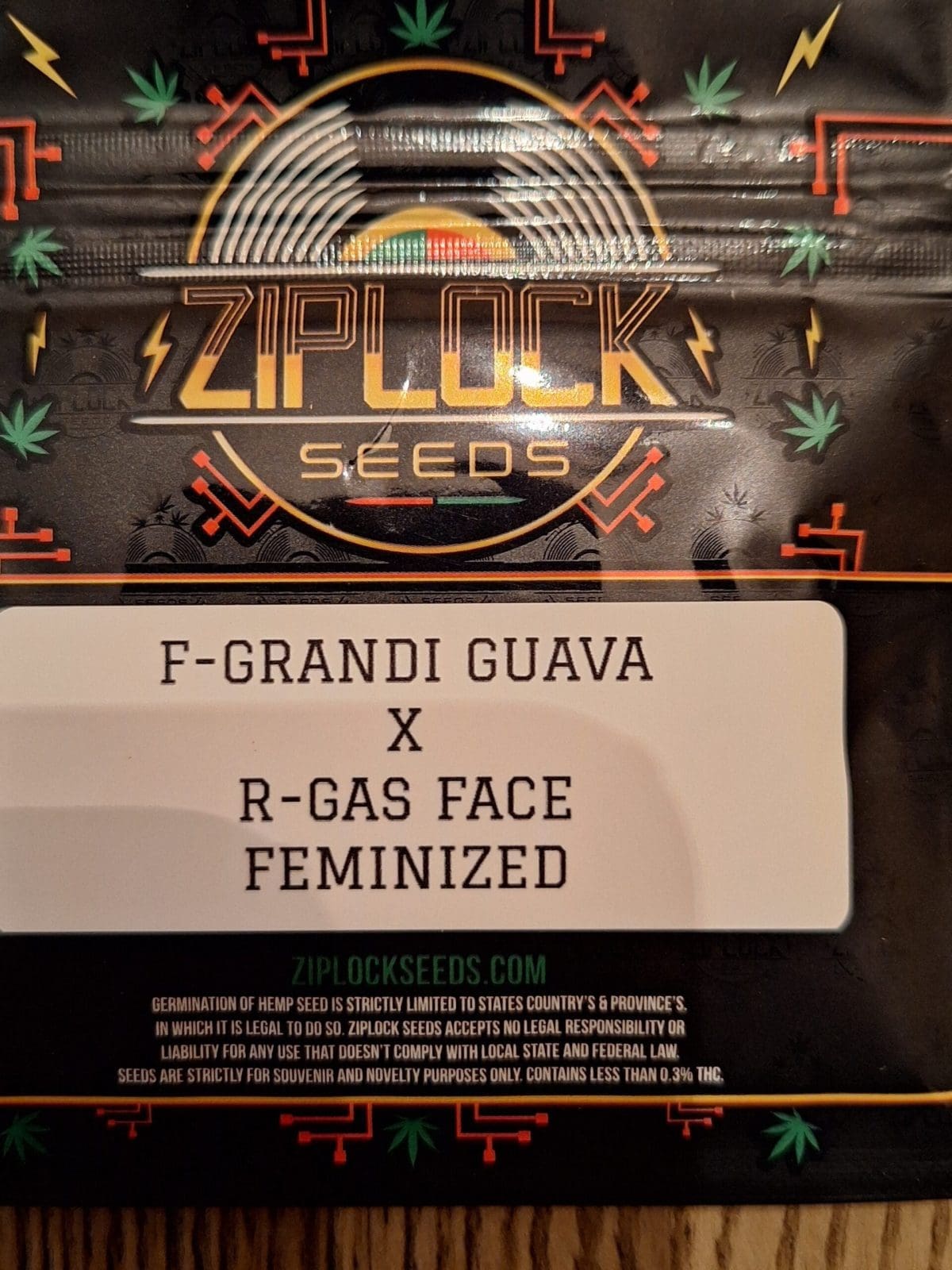 GRANDI GUAVA X GAS FACE 10+ct SEEDS