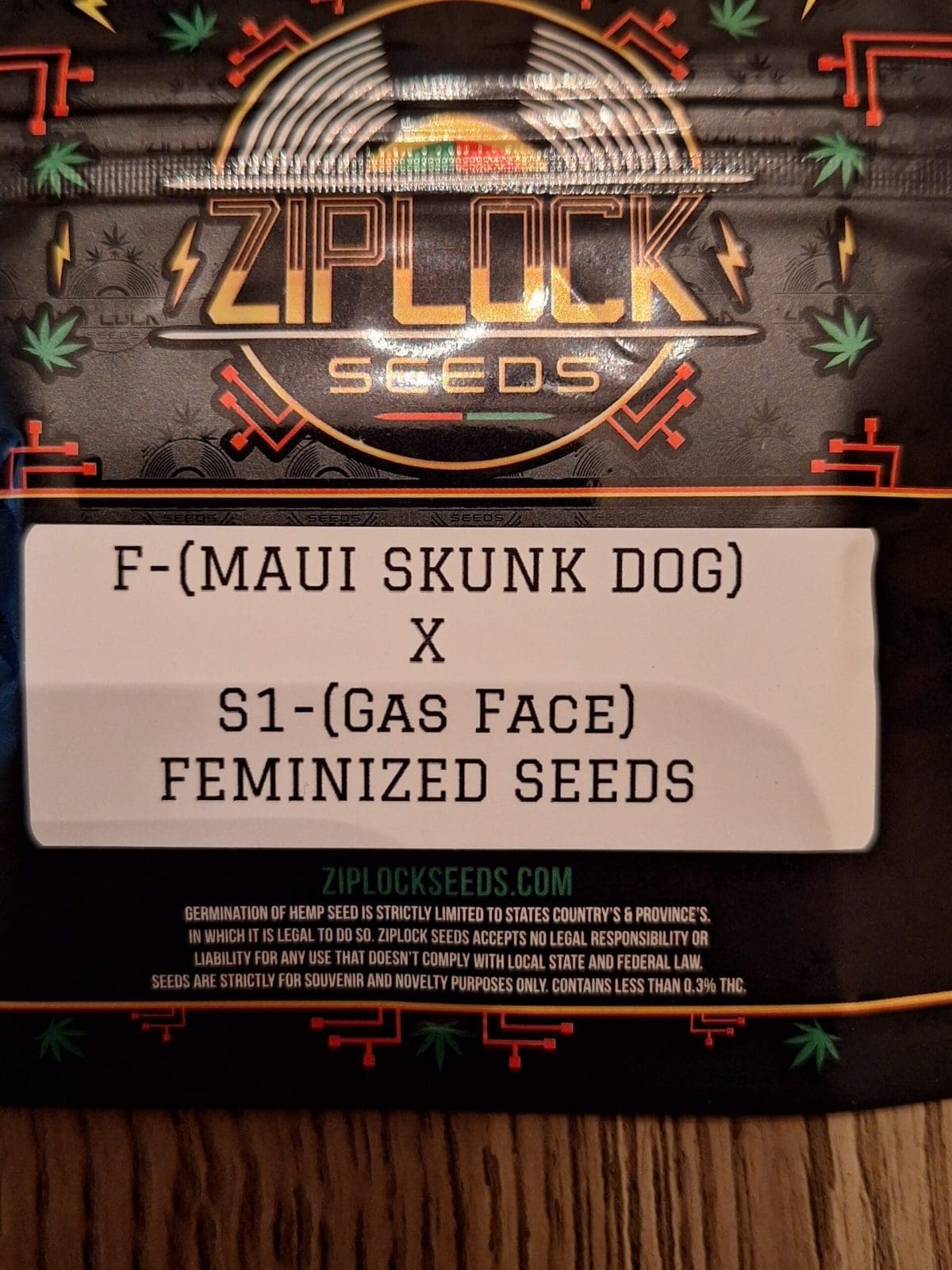 MAUI SKUNK DOG X GAS FACE S1 10+ct SEEDS
