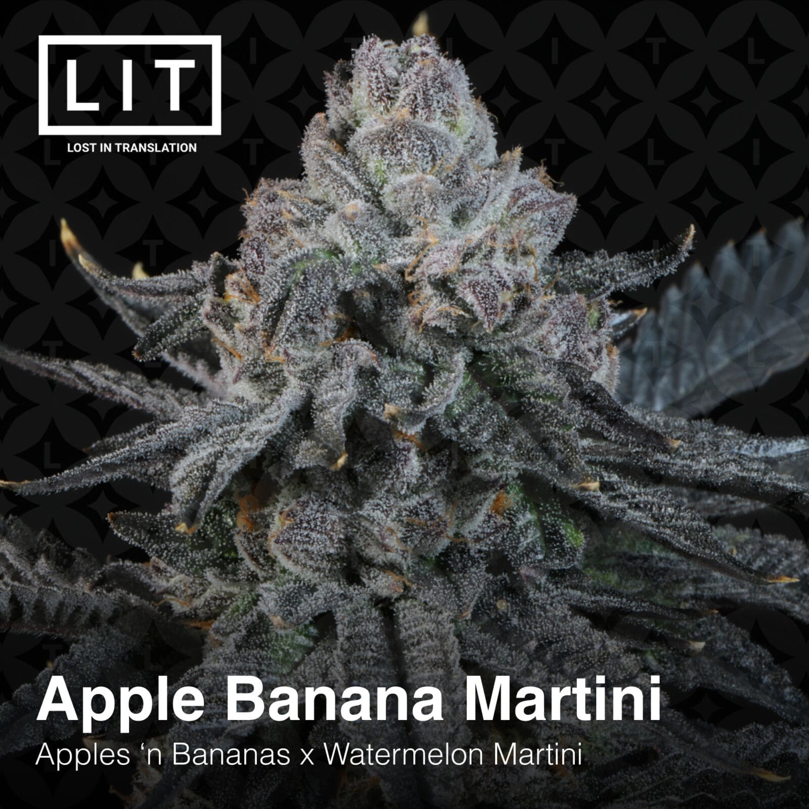 APPLE BANANA MARTINI 6CT FEMS- LIT FARMS