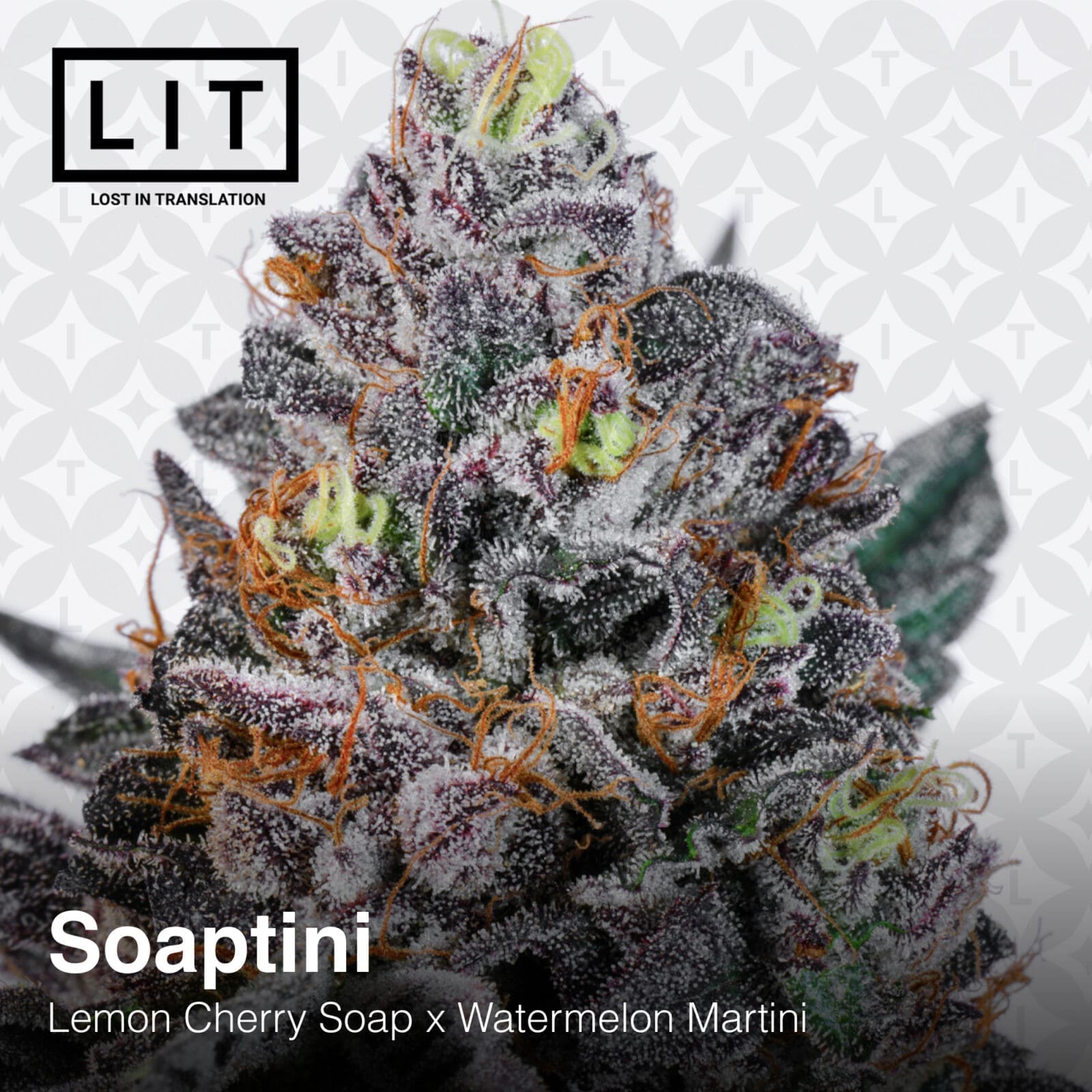 SOAPTINI 6ct FEMS
