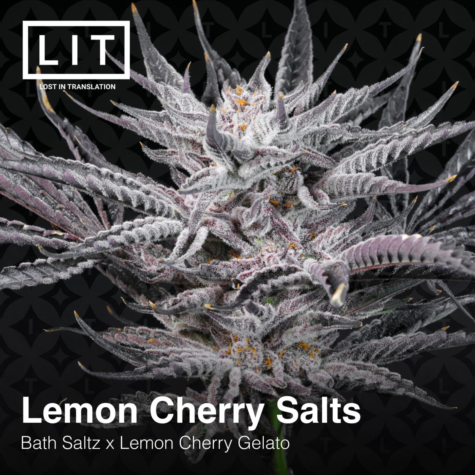 LEMON CHERRY SALTZ 6CT FEMS