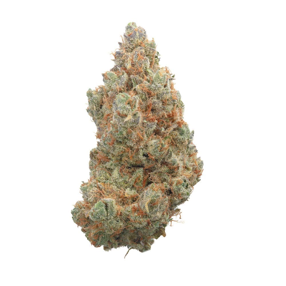 Everglades OG Auto 6ct - Happy Valley Genetics PLUS 3CT HVG FREEBIE