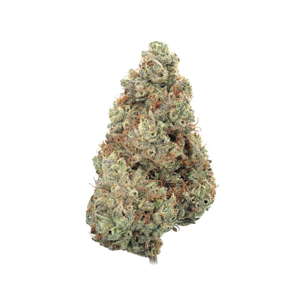 Pineapple Diesel Auto 6ct - Happy Valley Genetics PLUS 3CT HVG FREEBIE