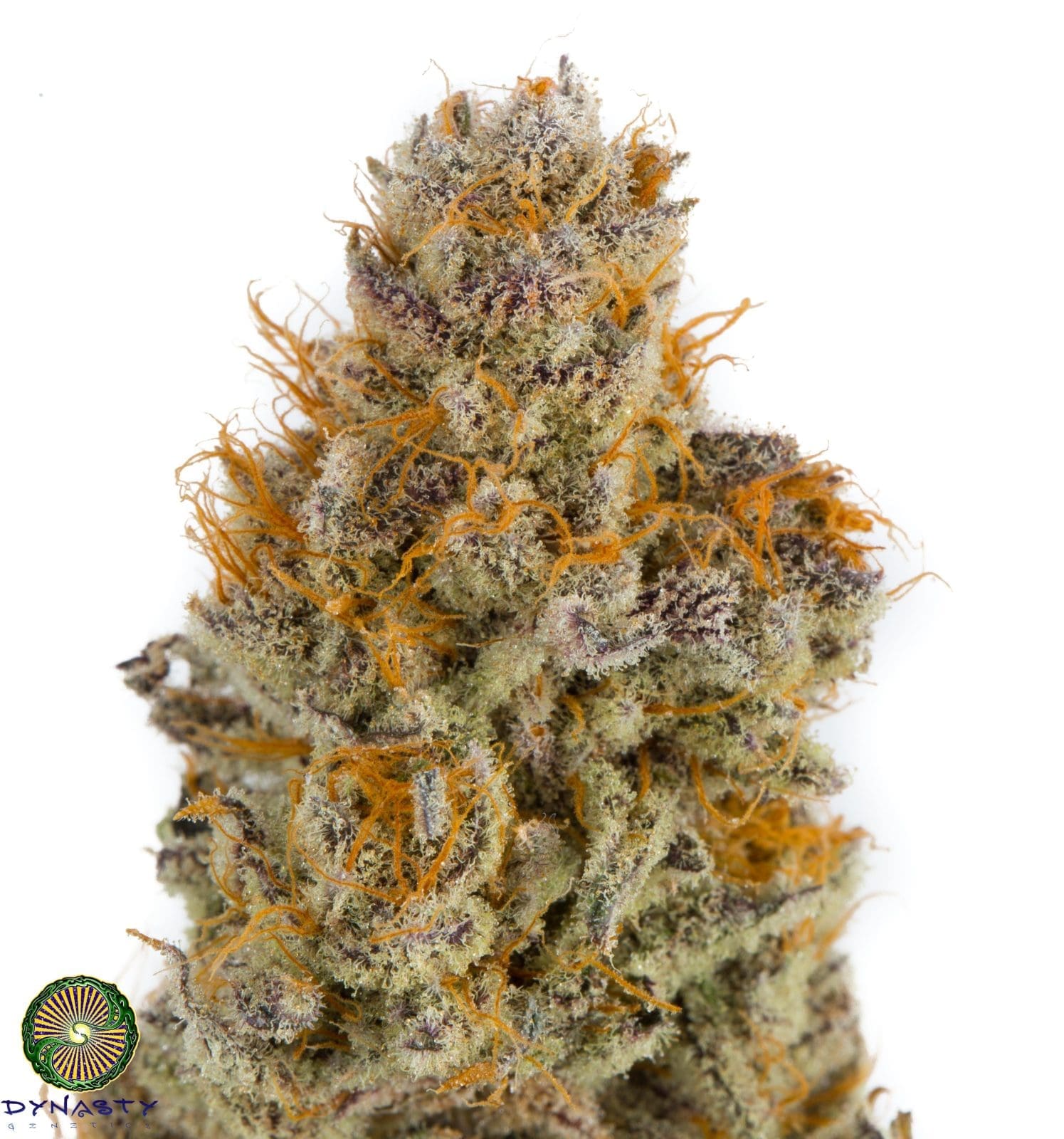 BLACKBERRY LAVA FLOW REGS PLUS OREGON SOUR LEMON DIESEL FREEBIE