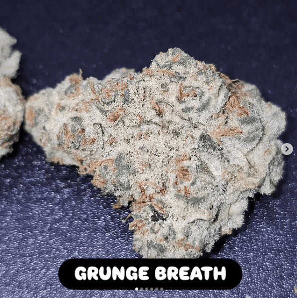 Grunge Breath Fems