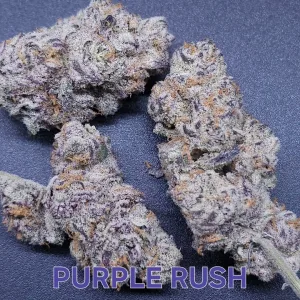 PURPLE RUSH FEMS