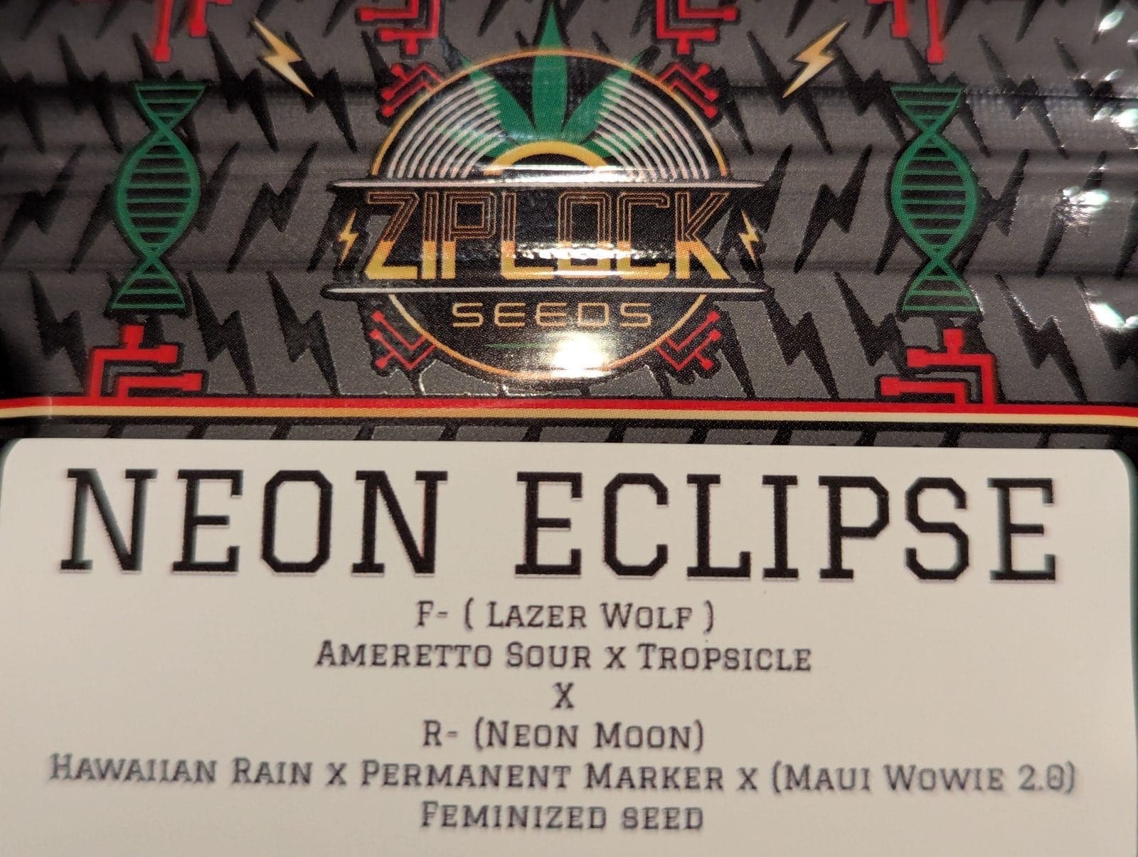 Neon Eclipse 10ct fem plus Ziplock Freebie