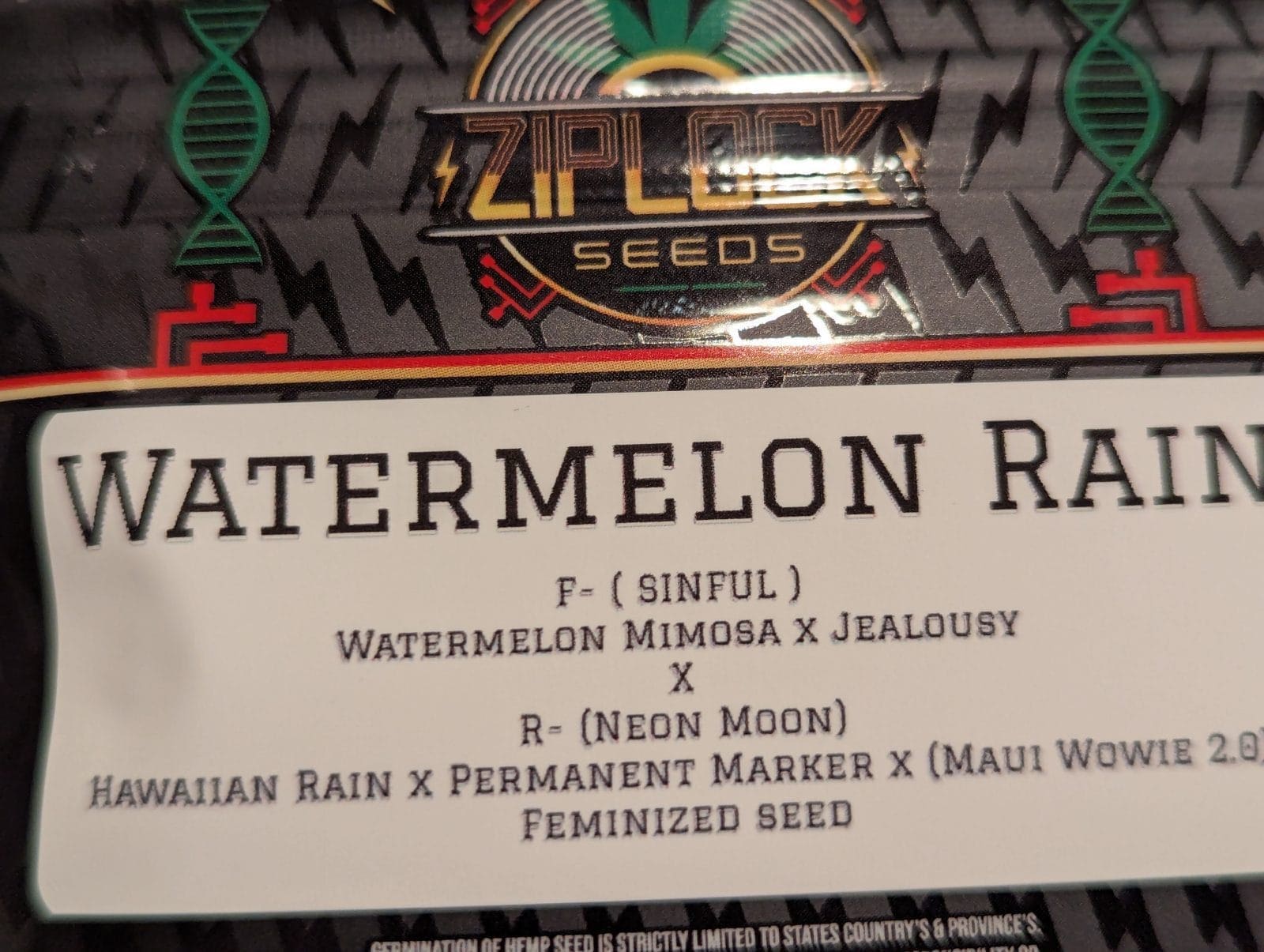 WATERMELON RAIN 10ct FEMS PLUS ZIPLOCK FREEBIE